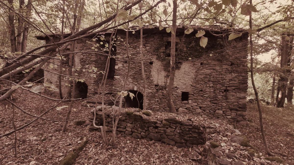 The stone ruins of Borgata Rivetti among chestnut trees